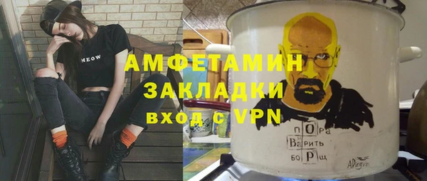 сатива Беломорск