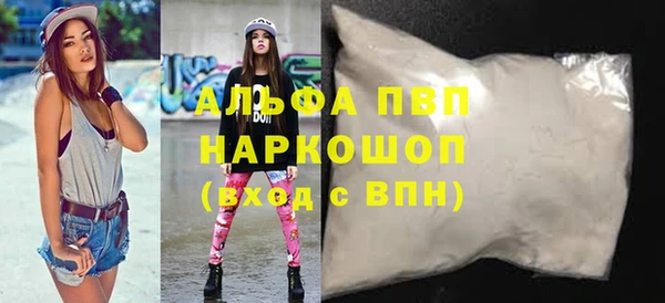 сатива Беломорск