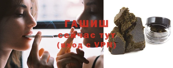 сатива Беломорск