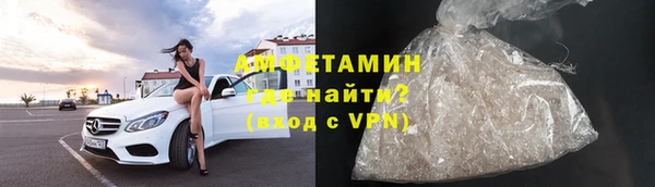 сатива Беломорск