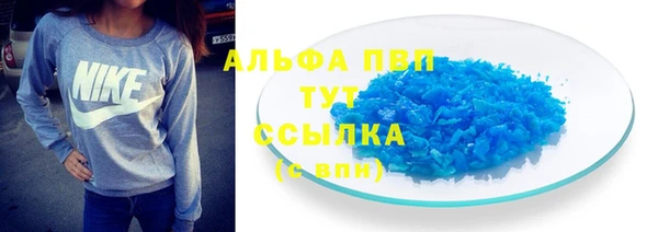 сатива Беломорск