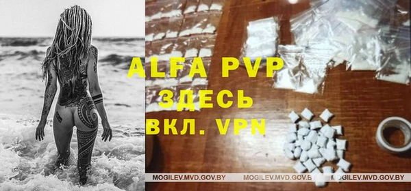 сатива Беломорск