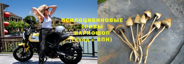 каннабис Белокуриха