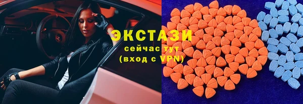 сатива Беломорск