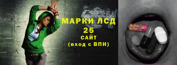 сатива Беломорск